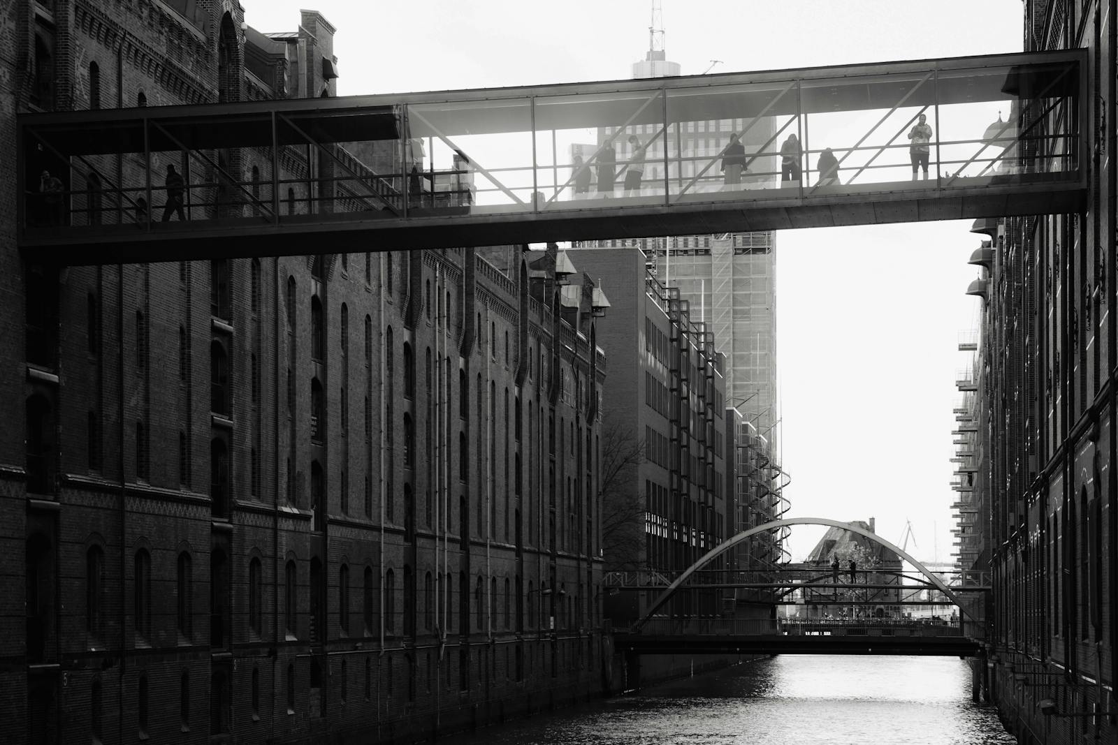 graphite gasket sheet